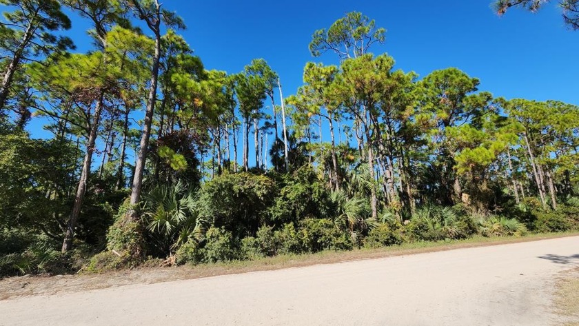Well situated and private Island building site bordering state - Beach Lot for sale in St. George Island, Florida on Beachhouse.com