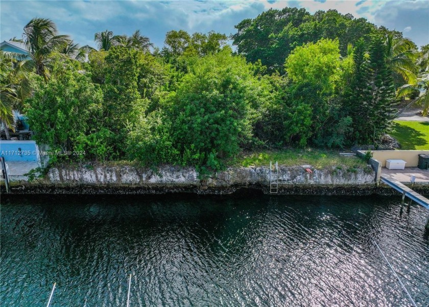 Build your waterfront paradise on this 9,375 sq. ft. vacant lot - Beach Acreage for sale in Key Largo, Florida on Beachhouse.com