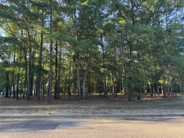 Here is your opportunity to own land in the sought after Harmony - Beach Lot for sale in Georgetown, South Carolina on Beachhouse.com