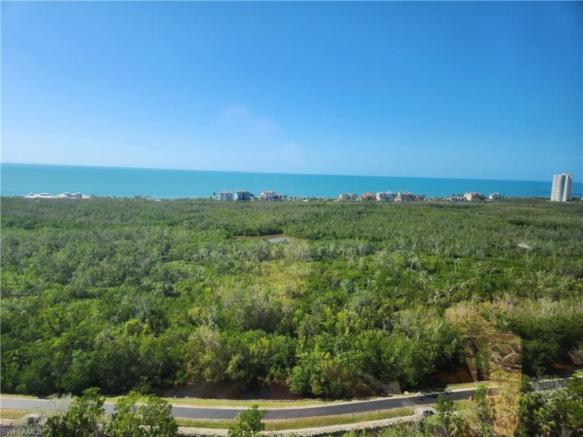 Expansive Gulf of Mexico and Club at Pelican Bay golf course - Beach Condo for sale in Naples, Florida on Beachhouse.com