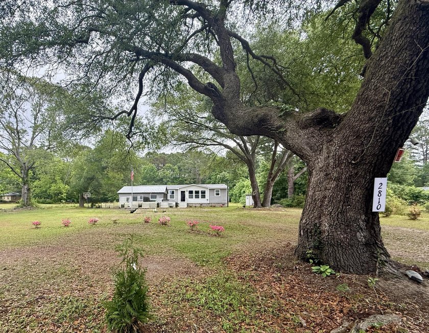 Looking for room to grow just minutes from the coast? This 1 - Beach Home for sale in Edisto Island, South Carolina on Beachhouse.com