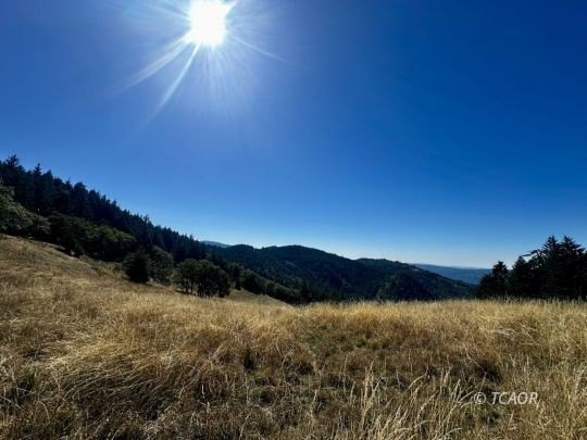 If you are looking for amazing ridgetop acreage with views all - Beach Acreage for sale in Blue Lake, California on Beachhouse.com