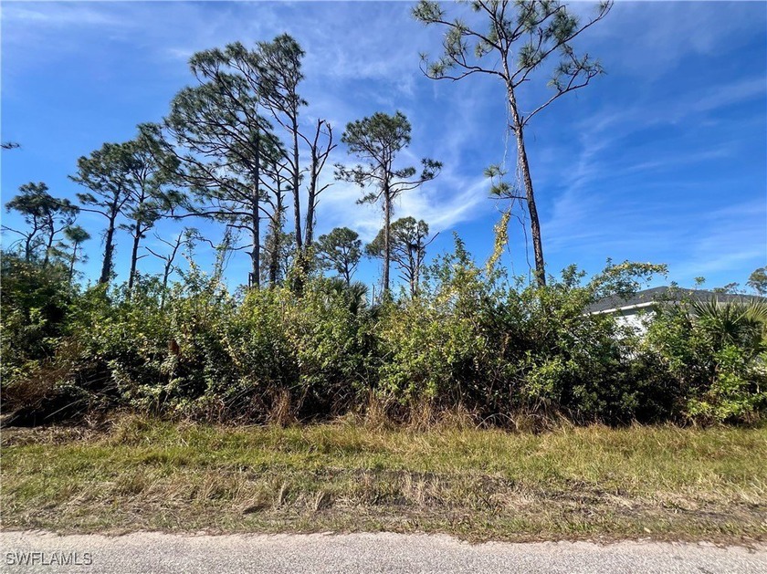 Beautiful lot offers a unique opportunity to build the home of - Beach Lot for sale in Port Charlotte, Florida on Beachhouse.com