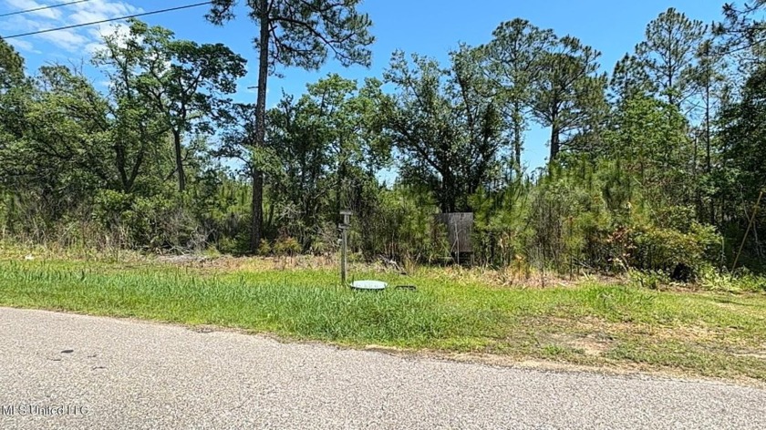 Located in desirable Harbor Estates subdivision, this spacious 0 - Beach Lot for sale in Bay Saint Louis, Mississippi on Beachhouse.com