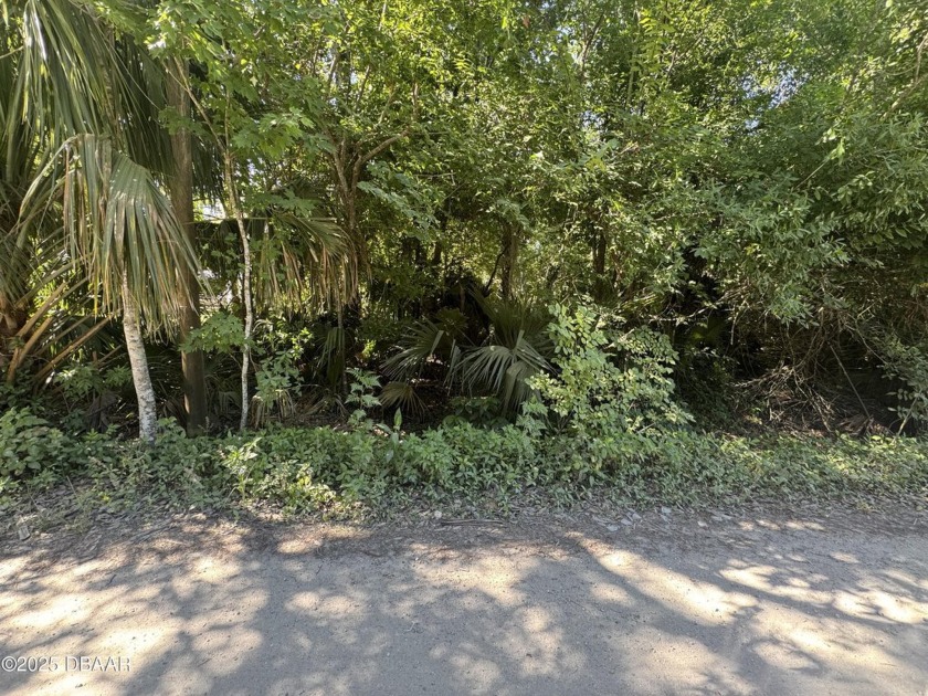 Undeveloped and ready for you to create!! Grab this beautiful - Beach Lot for sale in Ormond Beach, Florida on Beachhouse.com