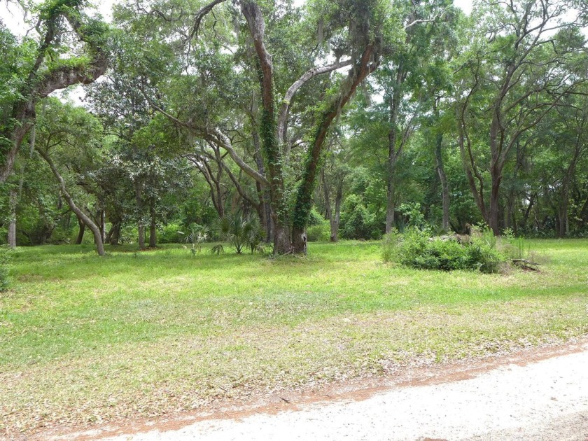 Beautifully wooded lot on picturesque Oakwood Lane in the - Beach Lot for sale in Edisto Island, South Carolina on Beachhouse.com