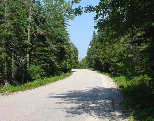 Best Lot Location, Priced Right & Ready to Build your New Home - Beach Acreage for sale in Gouldsboro, Maine on Beachhouse.com