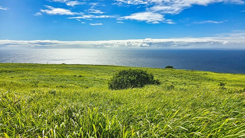 Experience breathtaking coastline and ocean views from this - Beach Acreage for sale in Naalehu, Hawaii on Beachhouse.com