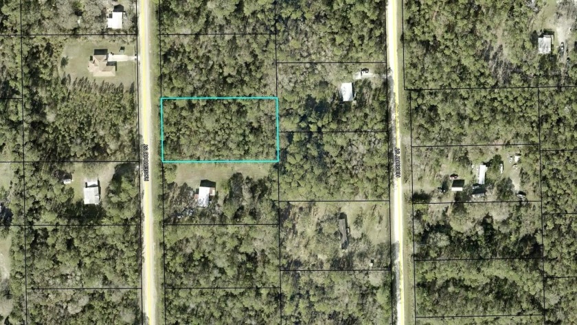 Under contract-accepting backup offers. Nice 165x300' country - Beach Lot for sale in Bunnell, Florida on Beachhouse.com