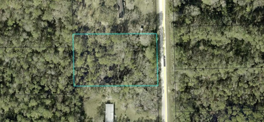 Nice 165x300' country lot zoned for manufactured home or site - Beach Lot for sale in Bunnell, Florida on Beachhouse.com