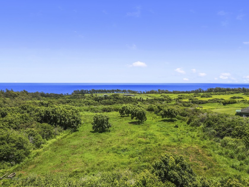 This stunning 13.3 acre ocean view property is perched just - Beach Acreage for sale in Kapaau, Hawaii on Beachhouse.com