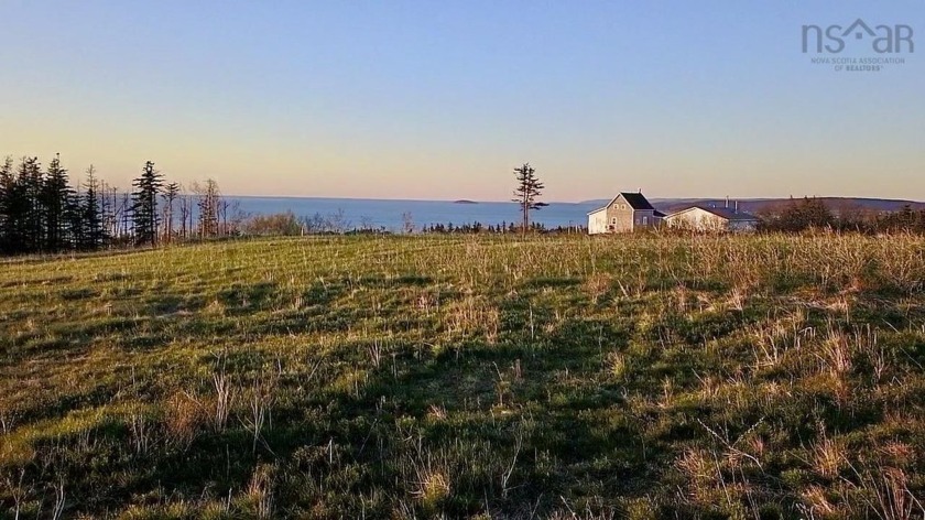 The idyllic atmosphere, sweeping ocean views, and natural - Beach Lot for sale in Inverness,  on Beachhouse.com