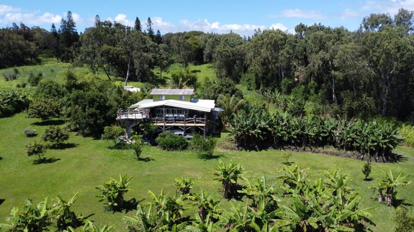Discover a rare opportunity to own a slice of paradise at the - Beach Home for sale in Naalehu, Hawaii on Beachhouse.com
