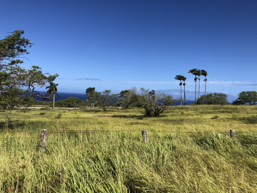 Rare private ten acre land lot in gated North Kohala community - Beach Acreage for sale in Hawi, Hawaii on Beachhouse.com