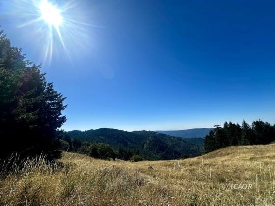 Looking for amazing ridgetop acreage with views all the way to - Beach Acreage for sale in Blue Lake, California on Beachhouse.com