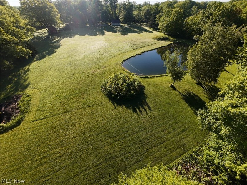 Land is the thing... Here is a uniquely positioned plot with - Beach Acreage for sale in Geneva, Ohio on Beachhouse.com