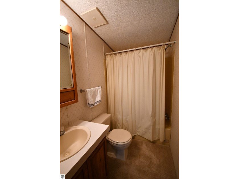 Nestled within the Cedar, Pine, and Birch, this charming home in - Beach Home for sale in Alanson, Michigan on Beachhouse.com