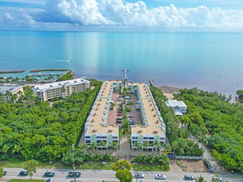 LIVE THE DREAM IN THIS OCEANFRONT BUILDING ON MILLIONAIRES' ROW - Beach Condo for sale in Plantation Key, Florida on Beachhouse.com