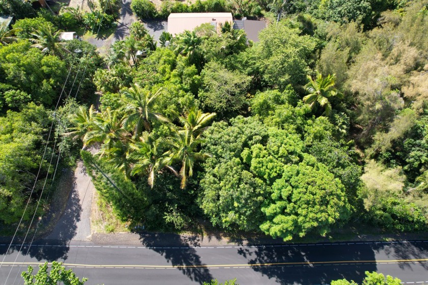 Exceptional opportunity to acquire two adjacent parcels of land - Beach Lot for sale in Pahoa, Hawaii on Beachhouse.com