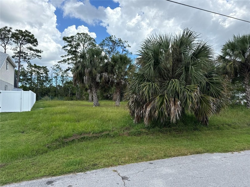 Under contract-accepting backup offers. Bring your vision to - Beach Lot for sale in Palm Coast, Florida on Beachhouse.com