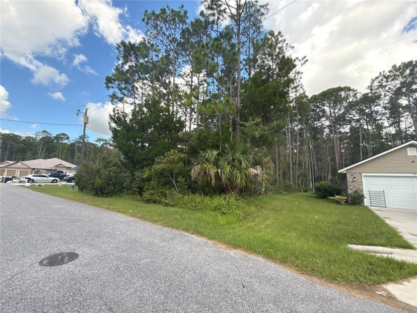 Buyer defaulted so more chances for you to take advantage of - Beach Lot for sale in Palm Coast, Florida on Beachhouse.com