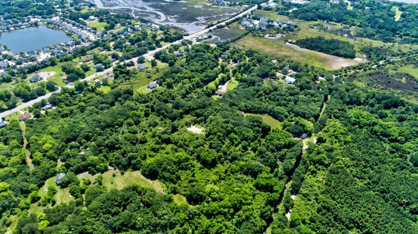 A beautiful blank canvas with Grand Oak Trees and Charleston - Beach Acreage for sale in Charleston, South Carolina on Beachhouse.com