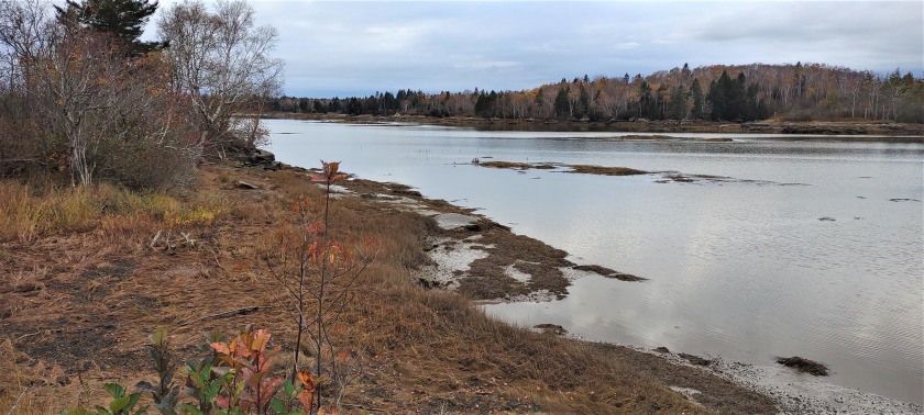 Looking for a waterfront building site with septic, well and - Beach Acreage for sale in Jonesport, Maine on Beachhouse.com