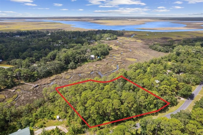 Imagine your dream Florida lifestyle unfolding on this stunning - Beach Lot for sale in Fernandina Beach, Florida on Beachhouse.com