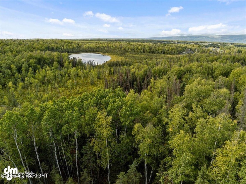 1 acre lot backing to 29- acres of open space with Patty Lake - Beach Lot for sale in Wasilla, Alaska on Beachhouse.com