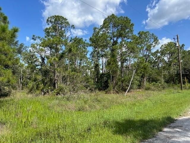 Start your new SW Florida lifestyle here in the Tropical Gulf - Beach Lot for sale in Punta Gorda, Florida on Beachhouse.com