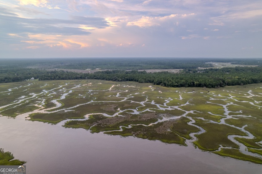 DISCOVER 11.64 ACRES OF PRISTINE WATERFRONT PROPERTY, INCLUDING - Beach Acreage for sale in Woodbine, Georgia on Beachhouse.com