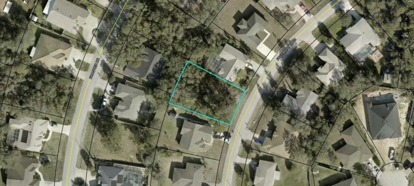 This beautiful HIGH & DRY lot is located on a super nice and - Beach Lot for sale in Palm Coast, Florida on Beachhouse.com