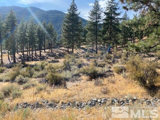 Clear Creek Tahoe is Northern Nevada's most exciting new - Beach Lot for sale in Carson City, Nevada on Beachhouse.com