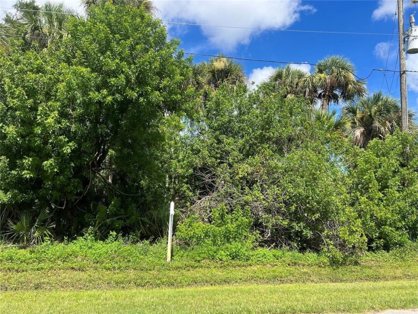Beautiful building lot in the up-and-coming area of Rotonda - Beach Lot for sale in Rotonda West, Florida on Beachhouse.com