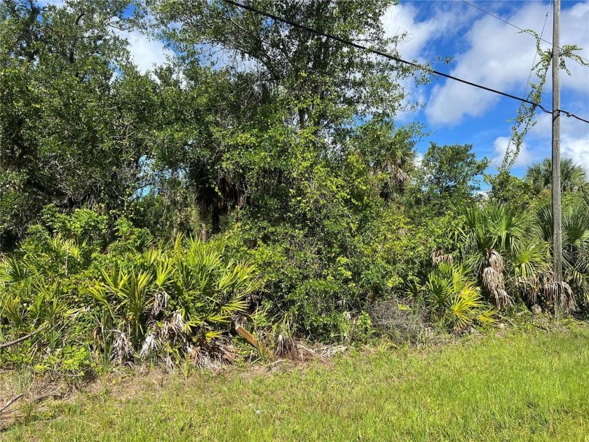 Beautiful building lot in the up-and-coming area of Rotonda - Beach Lot for sale in Rotonda West, Florida on Beachhouse.com