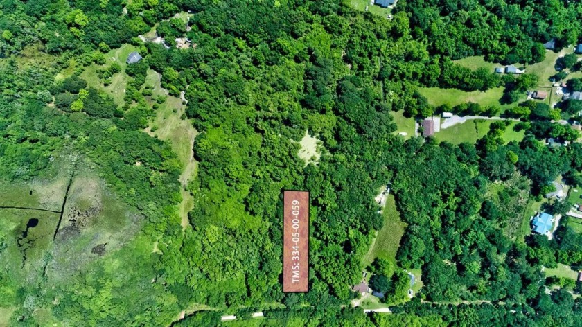 Great 1 Acre, 2 Structures allowed per S3 zoning. NO HOA - Beach Lot for sale in Charleston, South Carolina on Beachhouse.com