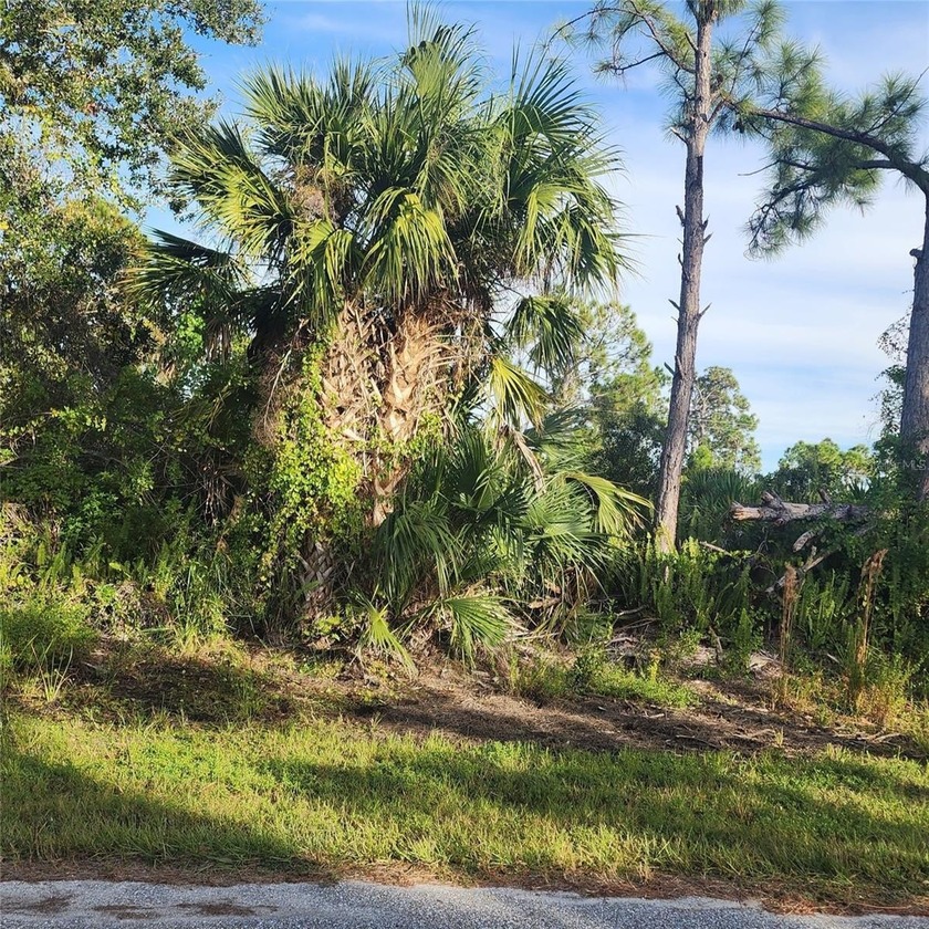 Build your dream home on this amazing lot located in the - Beach Lot for sale in Port Charlotte, Florida on Beachhouse.com