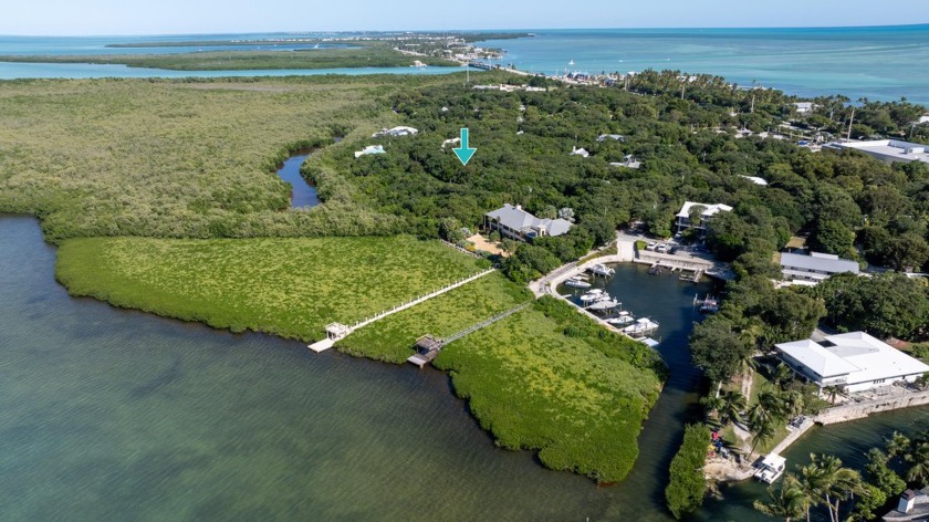 Rare opportunity to build on this permitted lot in the highly - Beach Home for sale in Upper Matecumbe Key, Florida on Beachhouse.com