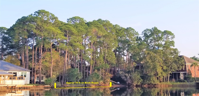 New Price For Waterfront Lot On Buck Bayou! Deep Lot In Great - Beach Lot for sale in Santa Rosa Beach, Florida on Beachhouse.com