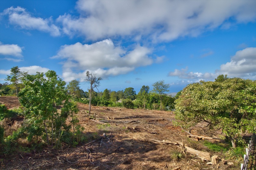 A rare opportunity to own a 1-acre building site with ocean view - Beach Lot for sale in Kailua Kona, Hawaii on Beachhouse.com