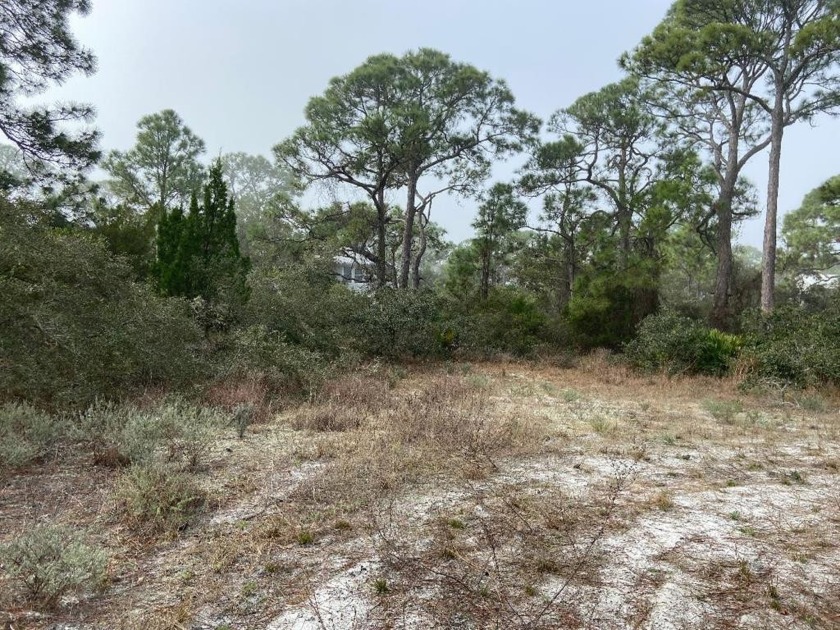 LOOKING TO INVEST ON BEAUTIFUL ST GEORGE ISLAND, YOUR CHANCE TO - Beach Lot for sale in St. George Island, Florida on Beachhouse.com