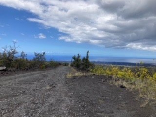 Road to the Sea - Six plus very private acres about 1.7 miles - Beach Acreage for sale in Ocean View, Hawaii on Beachhouse.com