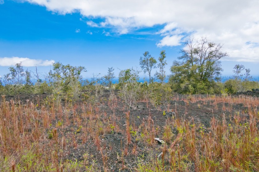 This 1-acre lot in Hawaiian Ocean View Estates offers beautiful - Beach Lot for sale in Ocean View, Hawaii on Beachhouse.com