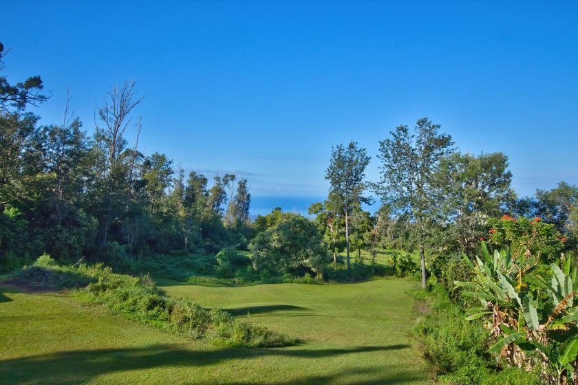 One acre home site with blue water views in the lush Kona Coffee - Beach Lot for sale in Captain Cook, Hawaii on Beachhouse.com