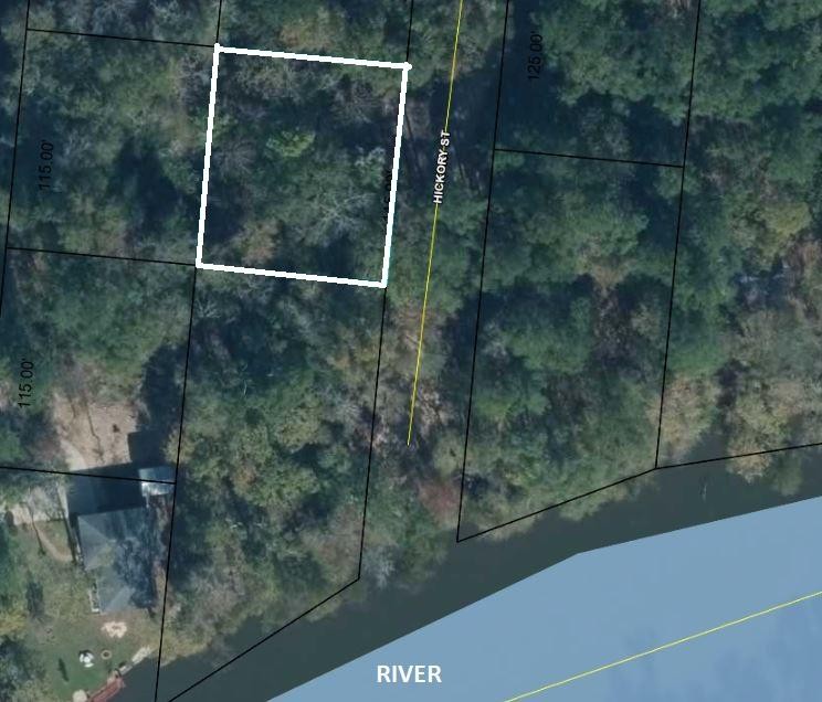 GREAT LOCATION..... This .26 acre parcel is the perfect location - Beach Lot for sale in Wewahitchka, Florida on Beachhouse.com
