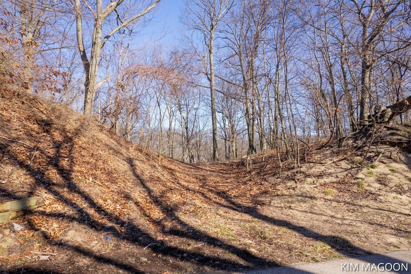 Beautiful wooded lot in desirable Scenic Shores on the south - Beach Lot for sale in Holland, Michigan on Beachhouse.com