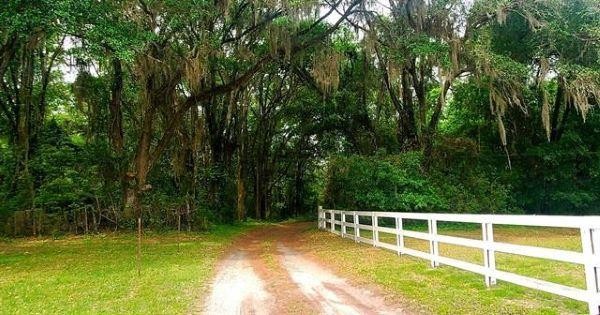 Move to horse country, complete with your own personal stocked - Beach Home for sale in Perry, Florida on Beachhouse.com