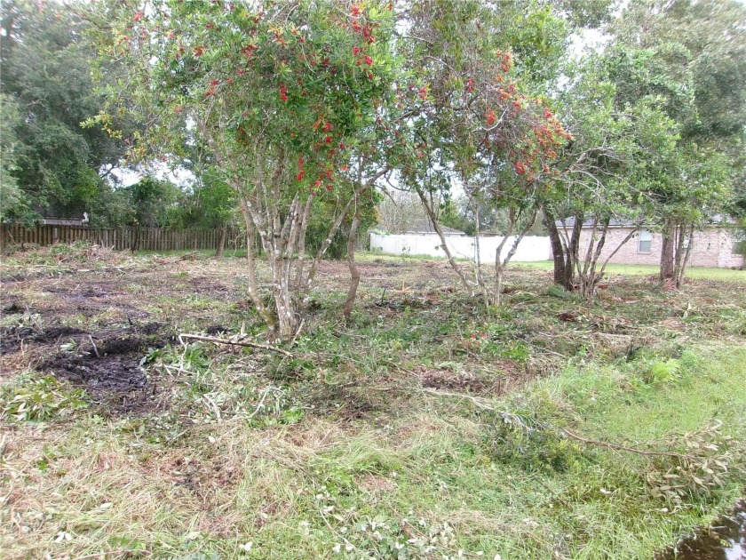 This oversized Matanzas Woods lot boasts a 14,045 sq ft expanse - Beach Lot for sale in Palm Coast, Florida on Beachhouse.com