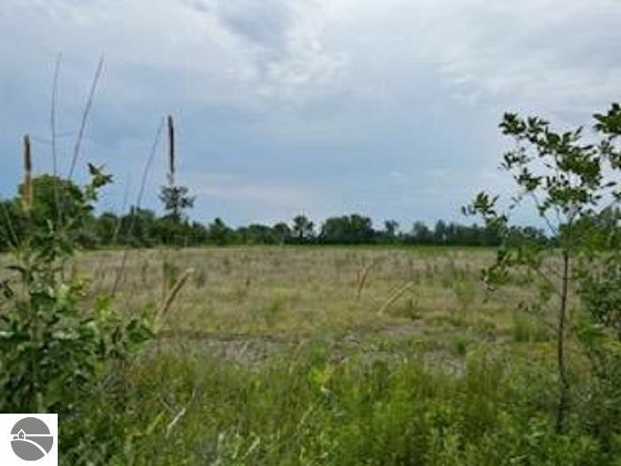 An approximately 3.4 acre piece of vacant land fronting a - Beach Acreage for sale in Au Gres, Michigan on Beachhouse.com