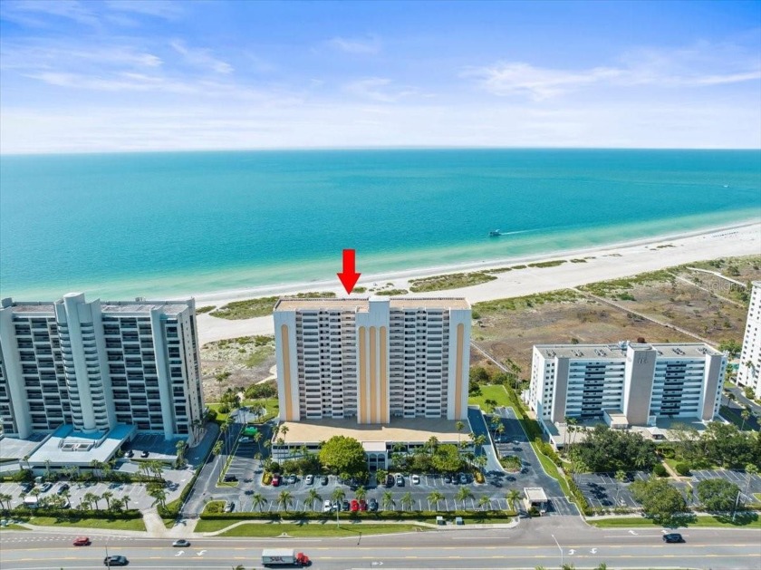 Alive and well following Helene. Ready for new owner to move in.
 - Beach Condo for sale in Clearwater, Florida on Beachhouse.com